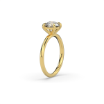 עיצוב ללא שם - 2026-02-24T133338.859