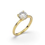 עיצוב ללא שם - 2026-02-24T133906.577