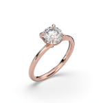 עיצוב ללא שם - 2026-02-24T134033.808